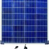 Optimate Solar 80W
