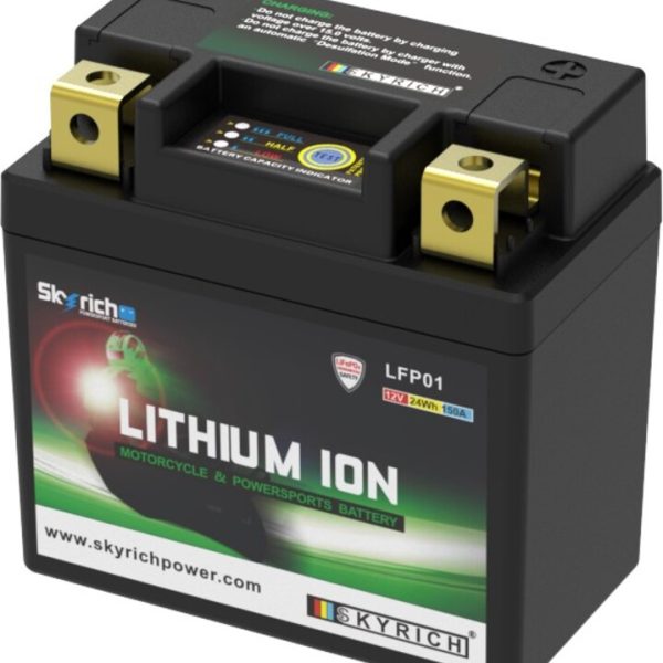 SKYRICH Lithium-Ionen-Batterie - LFP01