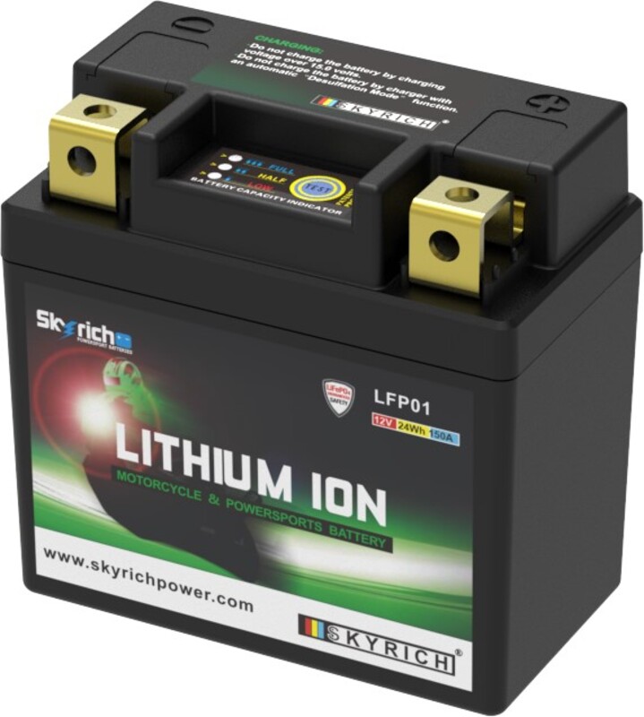 SKYRICH Lithium-Ionen-Batterie - LFP01 – Bild 1