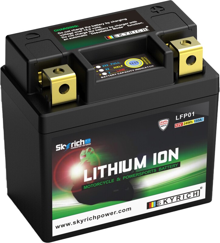SKYRICH Lithium-Ionen-Batterie - LFP01 – Bild 2