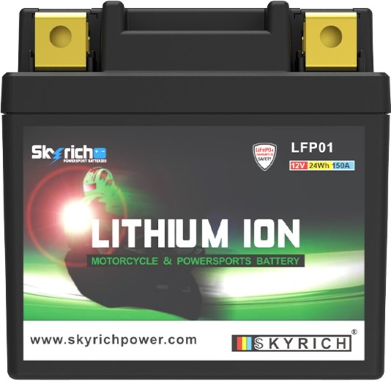 SKYRICH Lithium-Ionen-Batterie - LFP01 – Bild 3