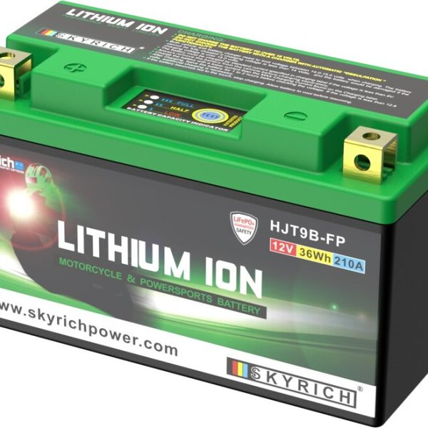 SKYRICH Lithium-Ionen-Batterie - LT9B